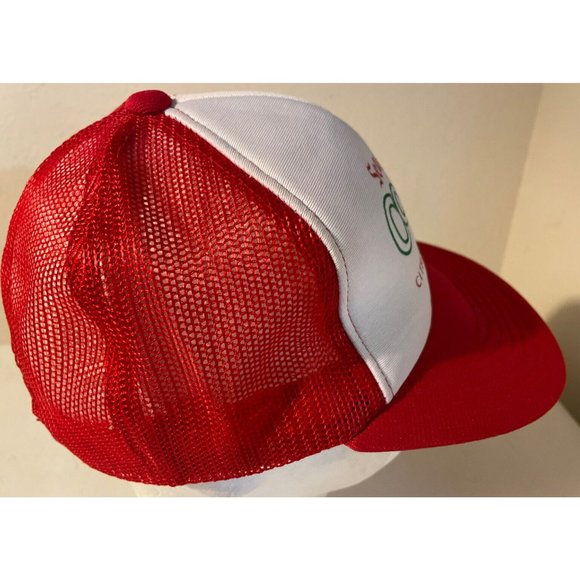 Vintage 80s Seagram's Cooler Mesh Trucker Hat Citrus & White Wine Beverage - Picture 7 of 9